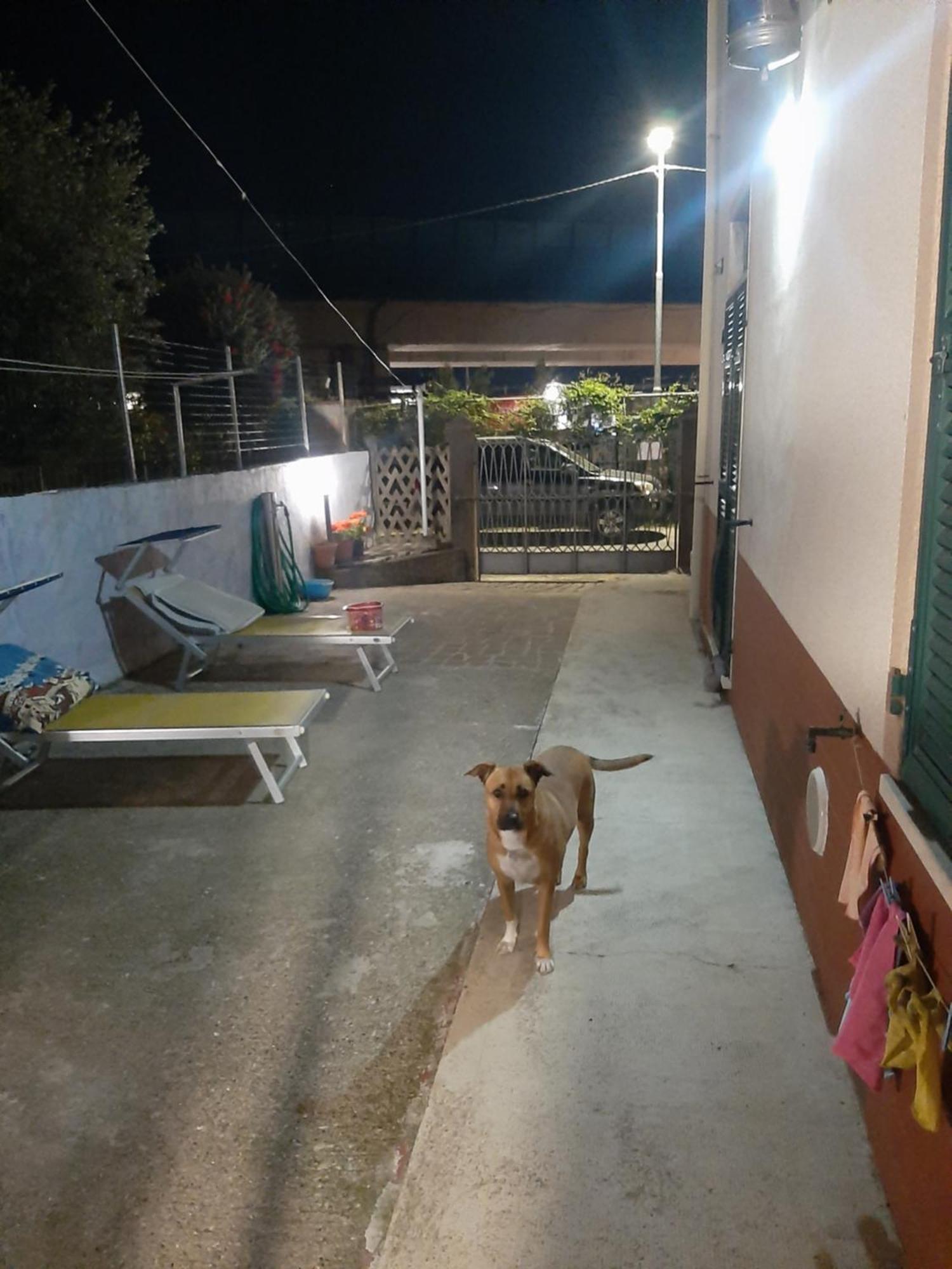 Casa Dh Holiday home *
